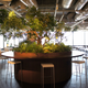 Illustration for article titled This Japanese (Social) Gaming Powerhouse Has Nice Digs